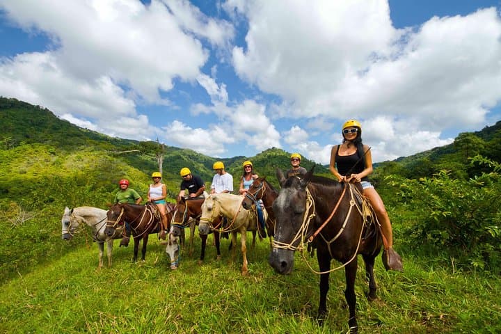 Rainforest Magic Horseback Riding Waterfall Tour Private Park Setting