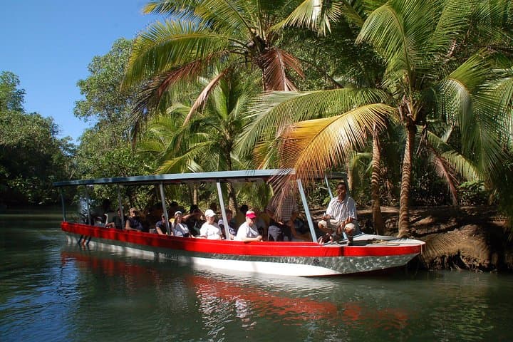 Monkey Tour to Isla Damas Mangroves from Jacó