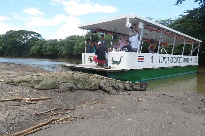 Jungle Crocodile Safari: Tarcoles River Crocodile Tour