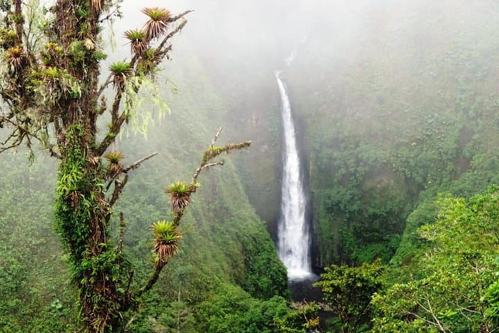 Arenal Volcano Full-Day Combo Tour with Lunch and Dinner