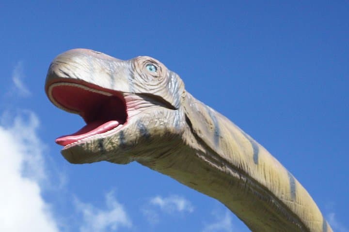 Dino Park & Blue River Adventure Rincon de la Vieja from Liberia