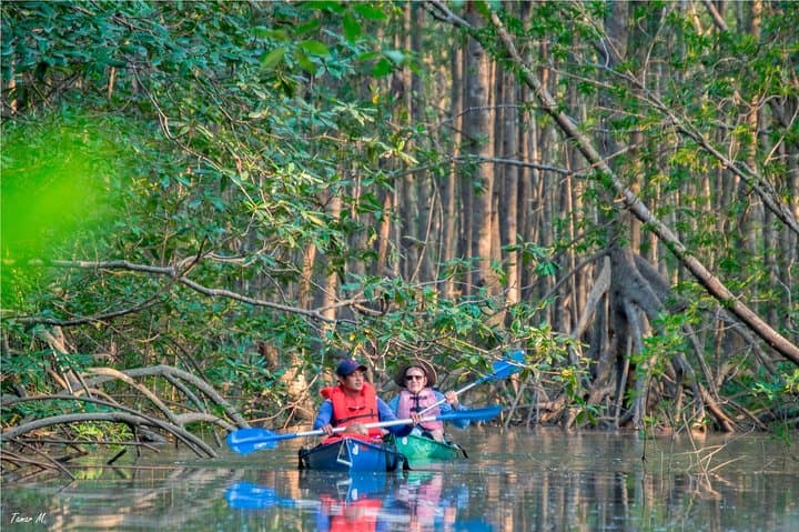 Mangrove Forest Kayak Exploration — book in Costa Rica
