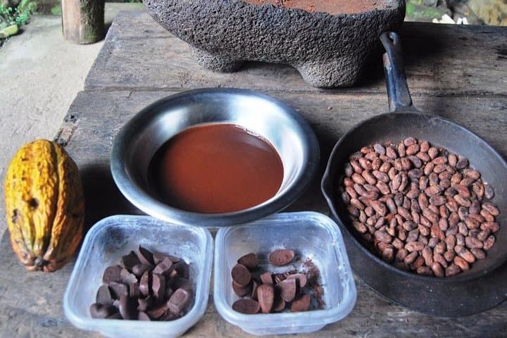 Chocolate Tour in Bribri Indigenous Area & Cahuita National Park