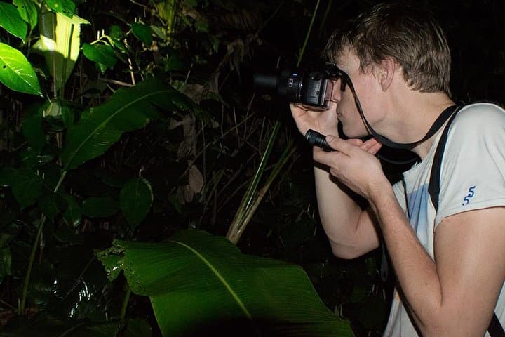 Mesmerizing Night Walk in Tortuguero