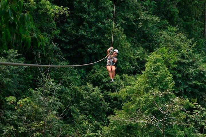 Crocodiles Safari & Zipline adventure - Private Sightseeing Tours