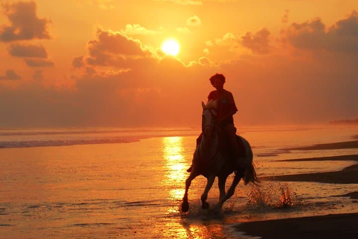 Sunset & Horses