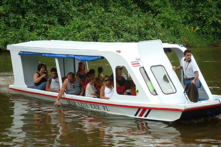 Tortuguero Canal Cruise and Prospect Plantation. Shore Excursion