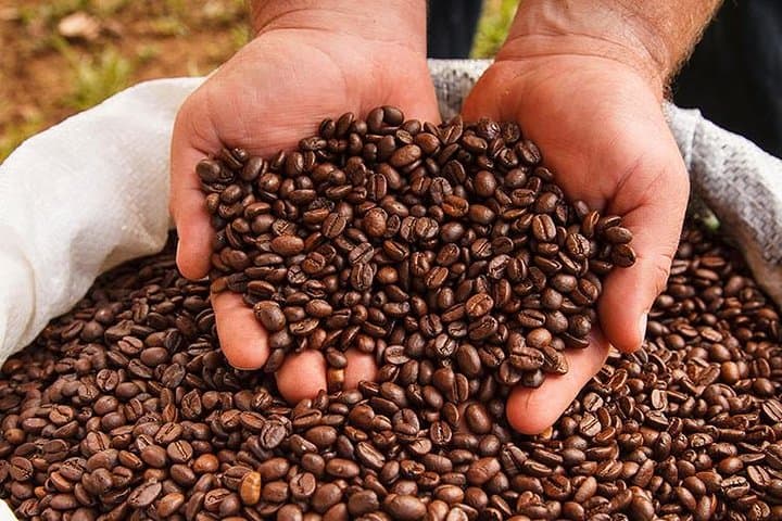 Coffee Tour, Grecia Town and Sarchi Shopping. Private Tour