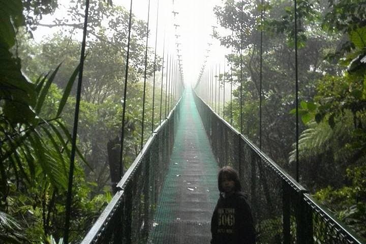 Monteverde Cloud Forest Hanging Bridges Guided Walk