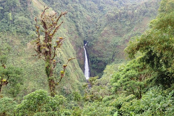 Volcano, Waterfalls, Zipline, Hot Springs Full Day Tour