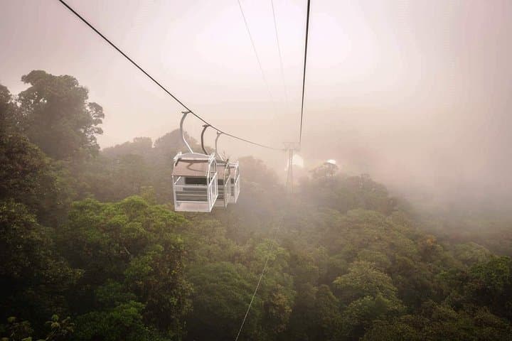 Monteverde Tree Tram & Hanging Bridges Cloud Forest from San Jose