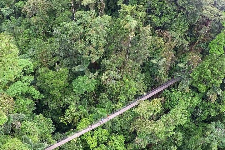 Hanging Bridges + Fortuna Waterfall & Lunch