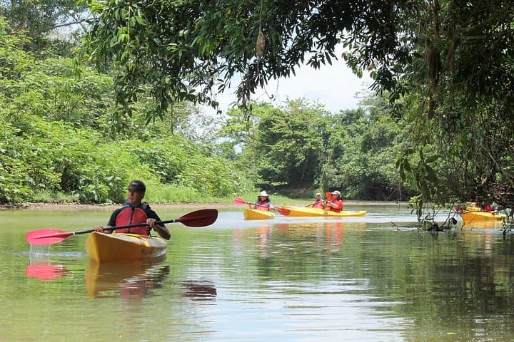 Kayak Safari