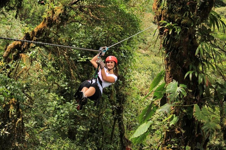 Rainforest Canopy Zipline & Hanging Bridges Tour From Monteverde