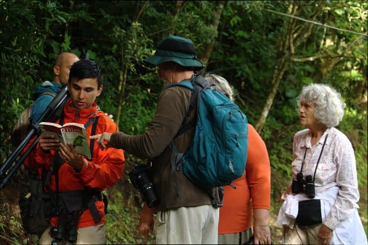 Monteverde Cloud Forest Tour with a Certified Tour Guide