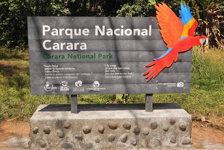 Carara National Park Birdwatching Private Guided Tour Experience.
