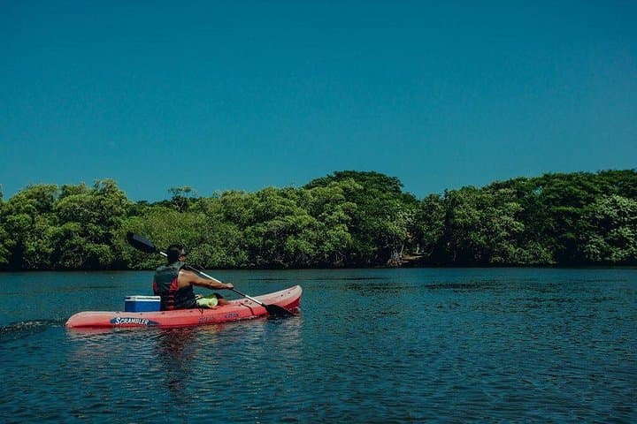 Tamarindo Kayak Estuary Mangrove Tour
