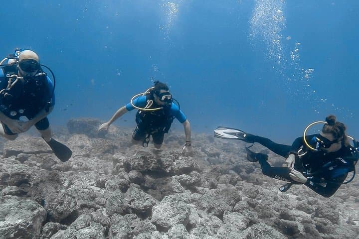 Catalina Island Diving Tour From Tamarindo - Certified Only