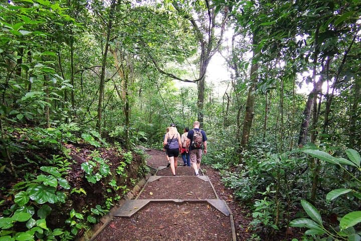 Rincón de la Vieja Volcano Hiking Tour & Oropendola Waterfall,