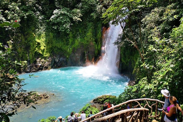 Sloths tour experience and Rio Celeste Waterfall.