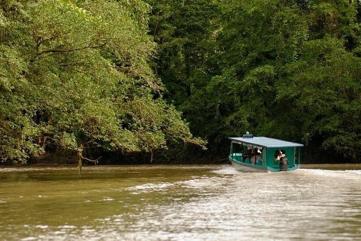 Safari Boat on Sarapiqui River with Lunch from San Jose