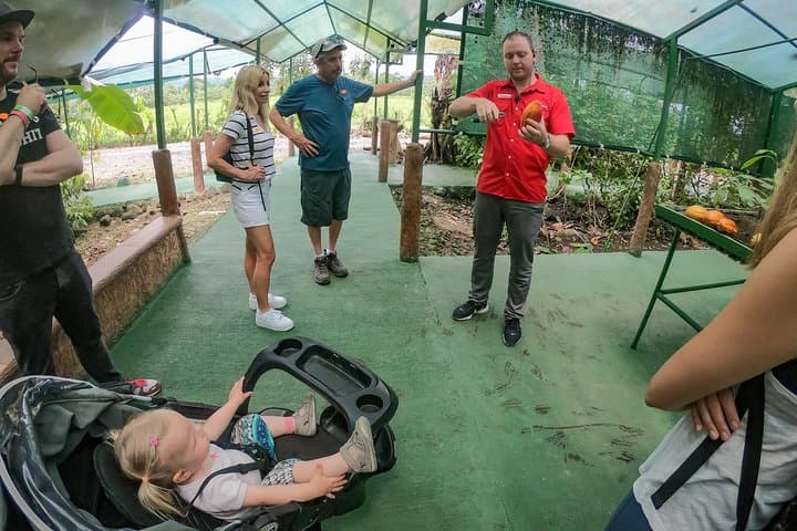 Coffee and Chocolate Tour in La Fortuna