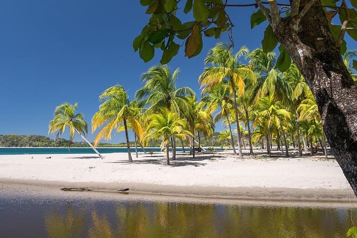Shuttle Service From Liberia Airport To Samara And Carrillo Beach