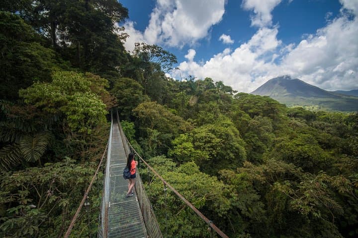 Arenal Hanging Bridges from La Fortuna