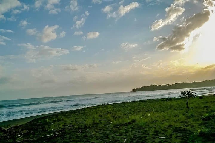 Private Transfer from San Jose to Puerto Viejo, Talamanca, Limon