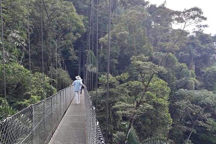 Hanging Bridges Nature History Private Walking Tour