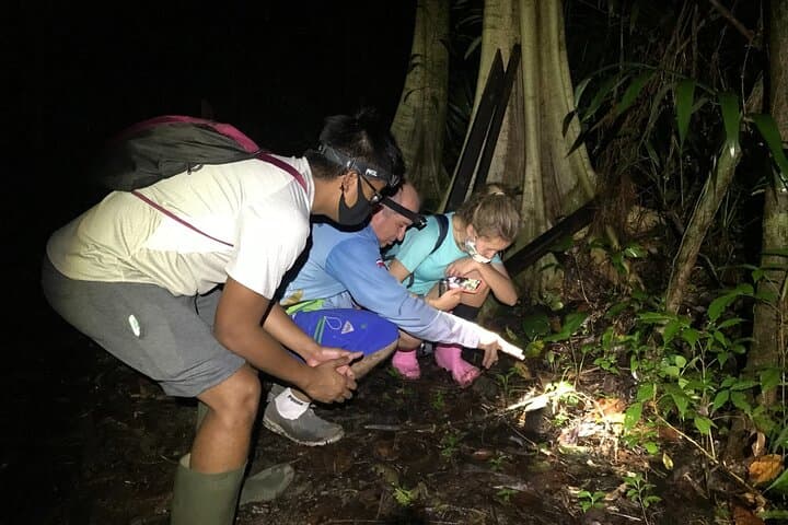 Manuel Antonio Jungle Night Tour with pick up included