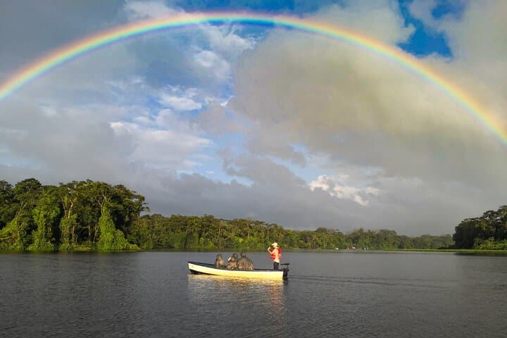 Electric Canoe Tour in Tortuguero National Park