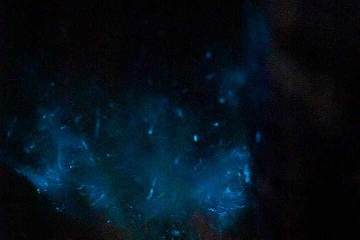 Sunset Bioluminescence Tour by Boat