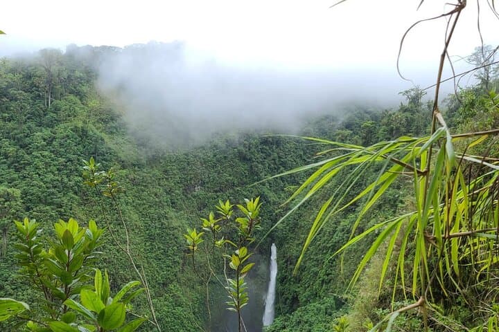 Waterfall Hiking Tour Vara Blanca