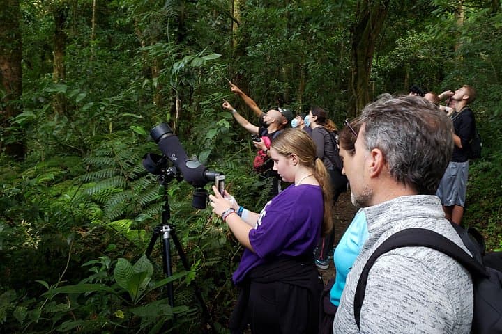 One Day Of Nature in Monteverde