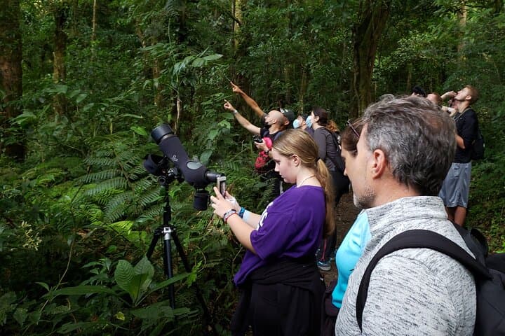 One Day Of Nature in Monteverde