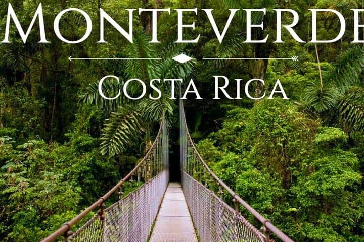 Shuttle From San Jose Airport To Monteverde