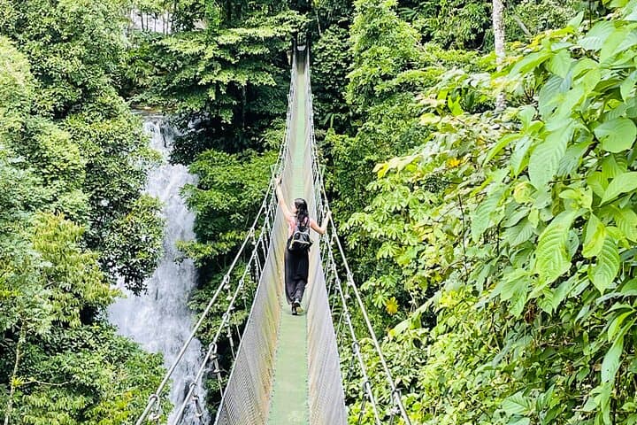 Rainforest Waterfall Hike, Hanging Bridges, and Cultural Lunch in Local Home