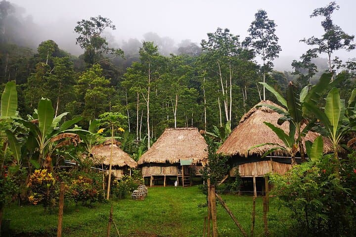 BriBri Indigenous Village Chocolate Tour, Cahuita and Waterfalls