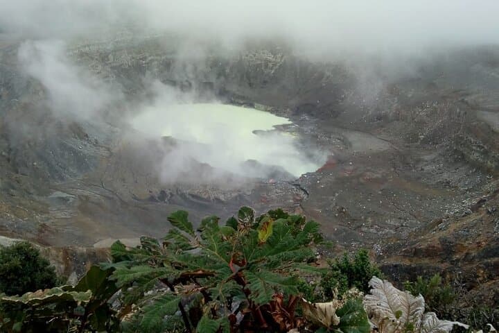 Poas Volcano + Coffee tour + Waterfall tour day from San Jose