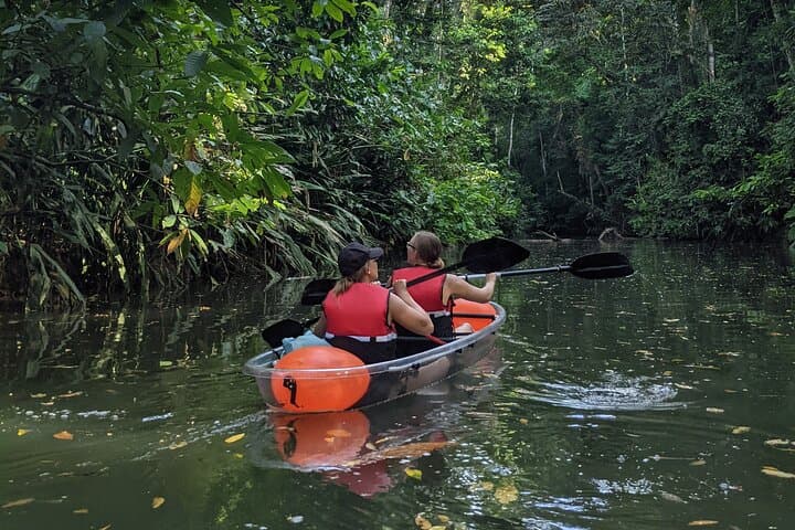 Clear Kayak Tour at Punta Uva