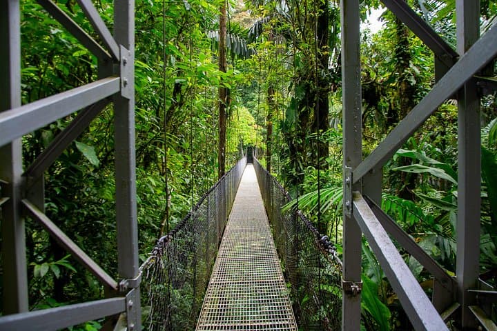 2-in-1 Best of La Fortuna. Hanging Bridges & Arenal Volcano + Traditional Lunch