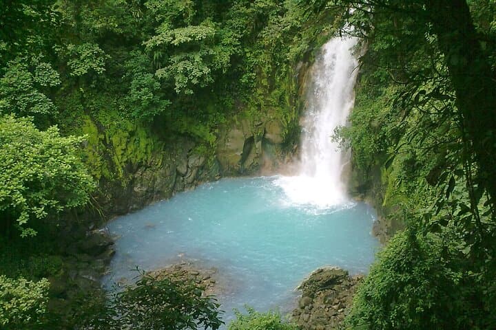 Rio Celeste Waterfall and Sloth Sactuary Full-Day Tour with Lunch