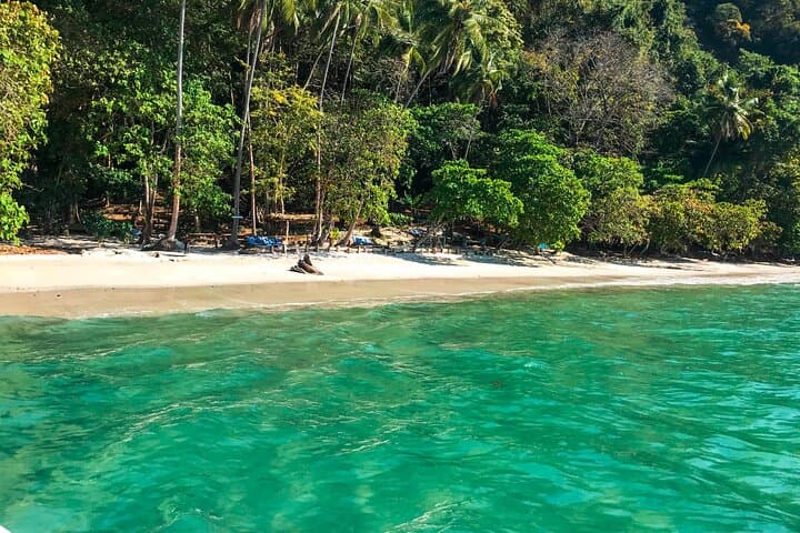 Snorkeling Tour to Playa Fantasia (Wildlife Reserve)