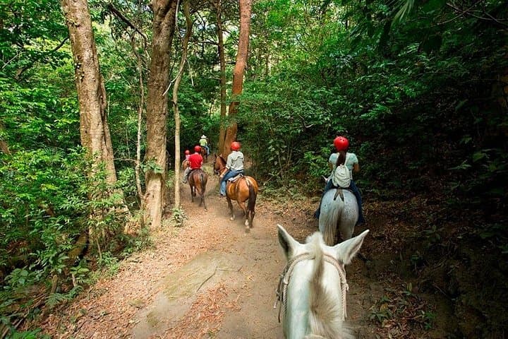 Buena Vista Full Day With Private Guided Multi-Activities 12 in 1