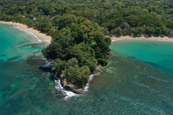 FullDay Cahuita Snorkel, Sloth Sanctuary from Puerto ViejodeLimón