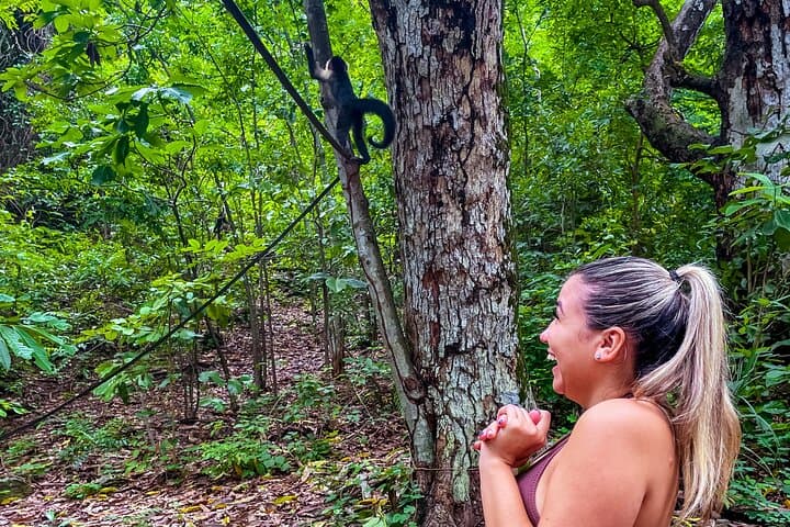 Jaco’s Wild Morning: Monkeys, Crocodiles and Local Flavors