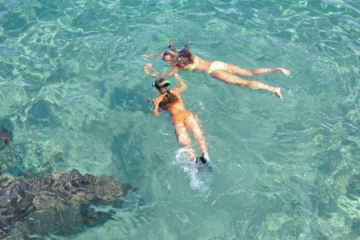 Super Combo: Manuel Antonio Park + Catamaran tour from San Jose