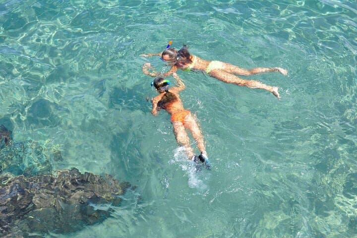 Super Combo: Manuel Antonio Park + Catamaran tour from San Jose