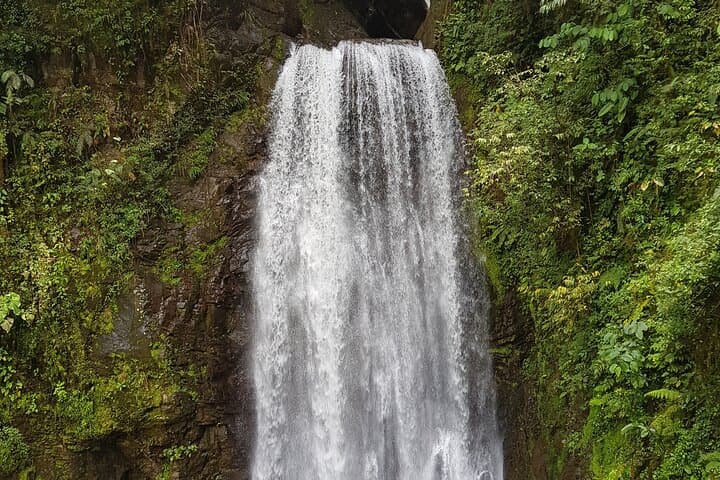 El Tigre Waterfalls Hiking Tour with Lunch and Nature Guide